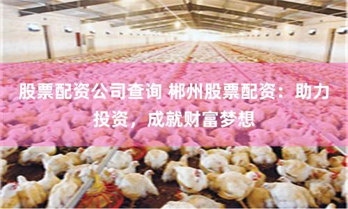 股票配资公司查询 郴州股票配资：助力投资，成就财富梦想