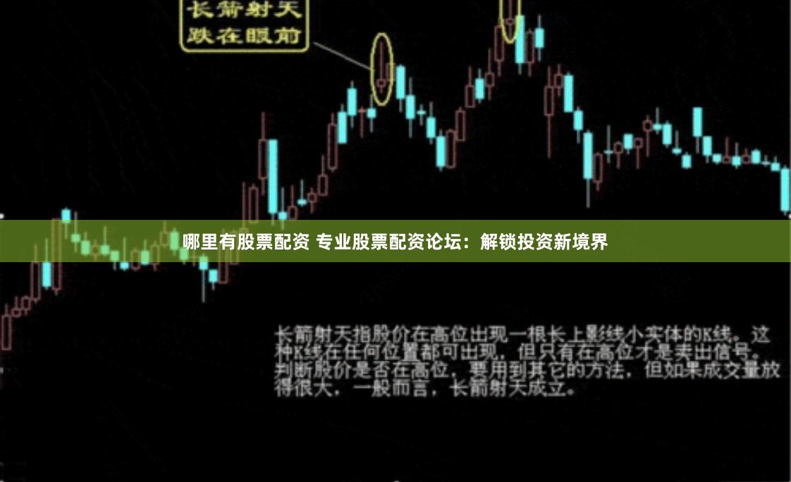 哪里有股票配资 专业股票配资论坛：解锁投资新境界