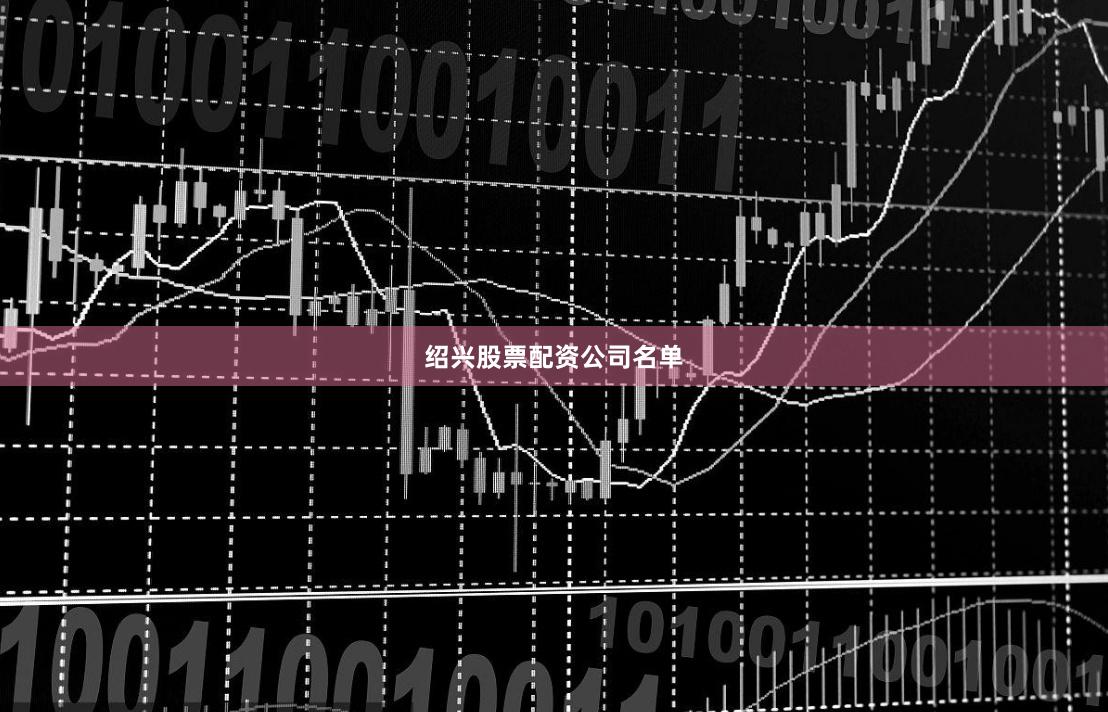 绍兴股票配资公司名单