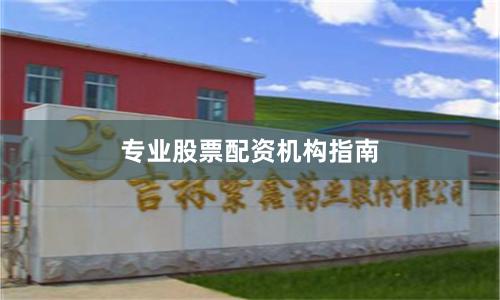 专业股票配资机构指南