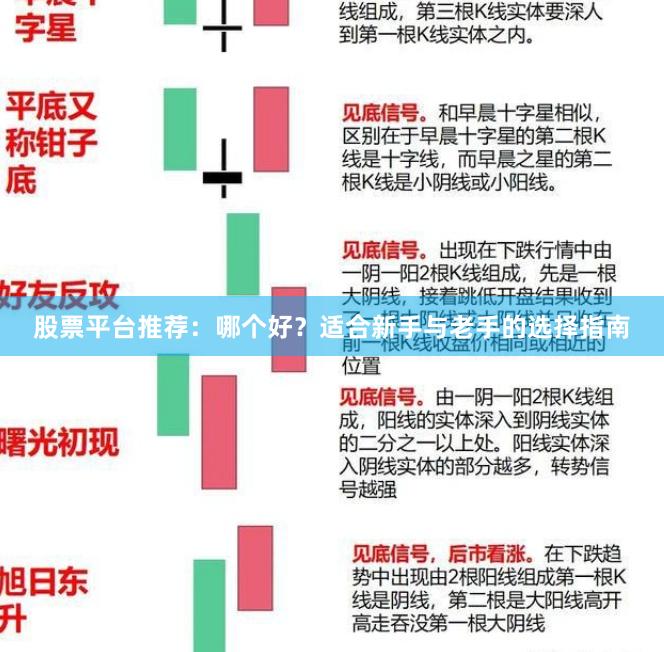 股票平台推荐:哪个好?适合新手与老手的选择指南