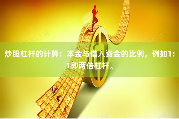 炒股杠杆的计算：本金与借入资金的比例，例如1:1即两倍杠杆。